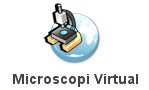 microscopi virtual